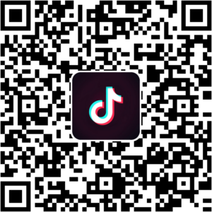 抖音小程序